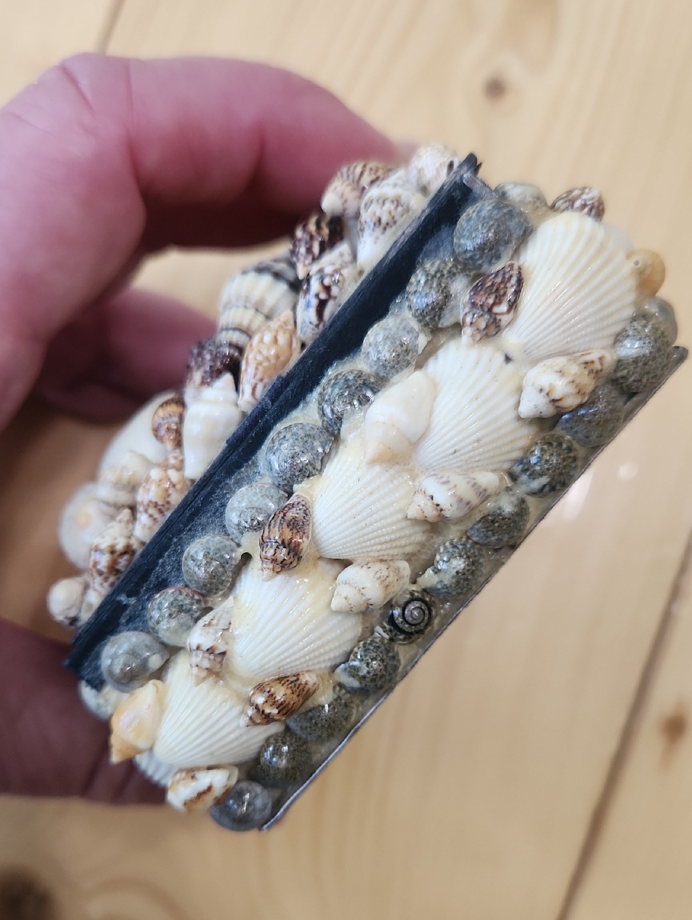 Vintage Sea Shell Trinket Box Black Velvet Lined Coastal Jewelry Keepsake Case - Picture 7 of 13